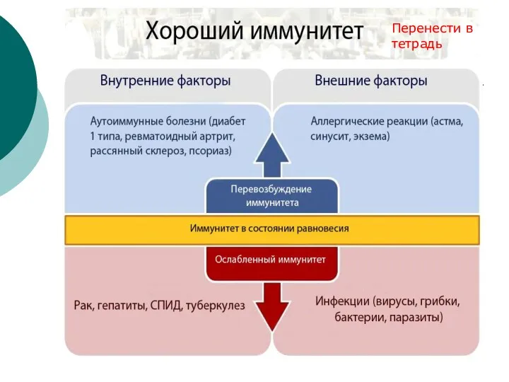 Перенести в тетрадь