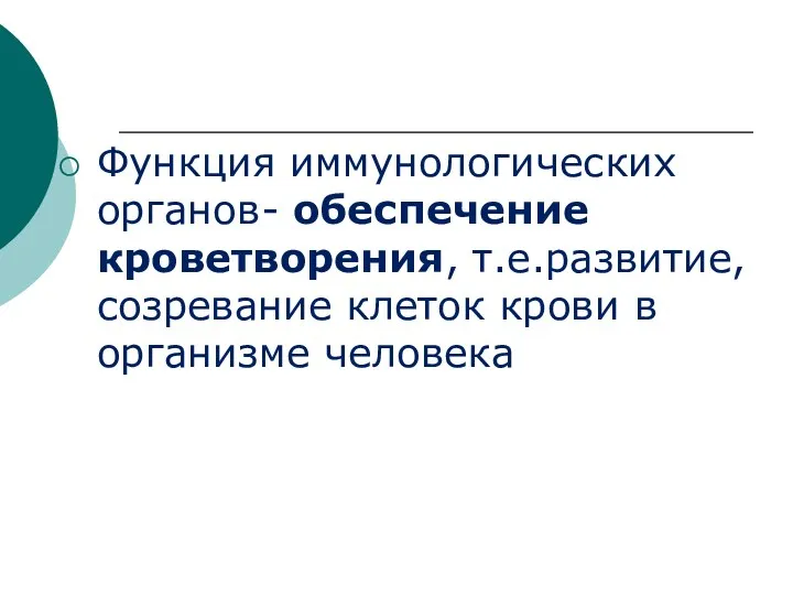 Функция иммунологических органов- обеспечение кроветворения, т.е.развитие, созревание клеток крови в организме человека