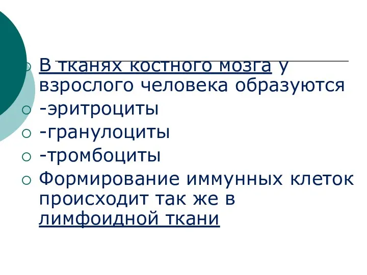 В тканях костного мозга у взрослого человека образуются -эритроциты -гранулоциты -тромбоциты Формирование иммунных