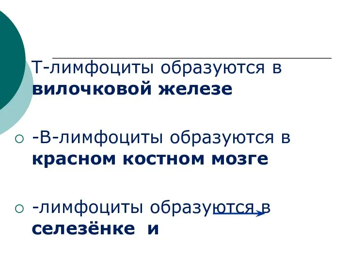 Т-лимфоциты образуются в вилочковой железе -В-лимфоциты образуются в красном костном мозге -лимфоциты образуются в селезёнке и