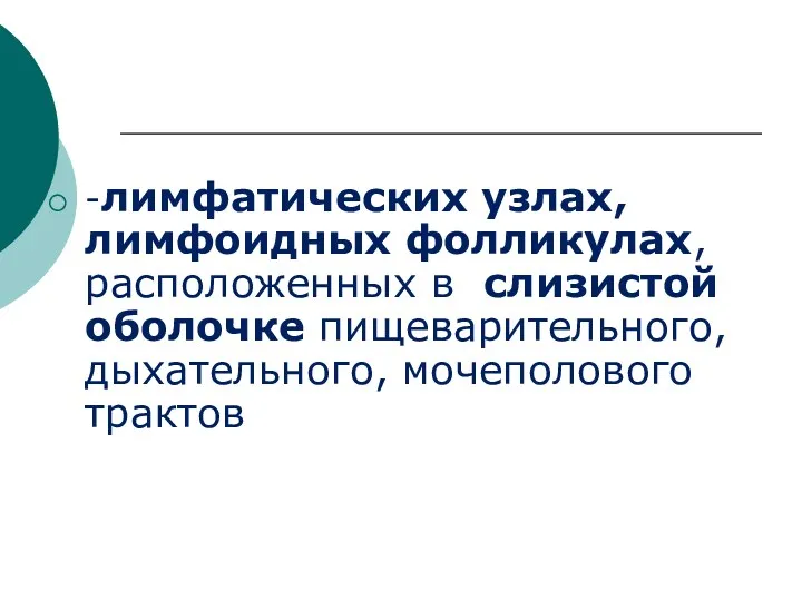 -лимфатических узлах, лимфоидных фолликулах, расположенных в слизистой оболочке пищеварительного, дыхательного, мочеполового трактов