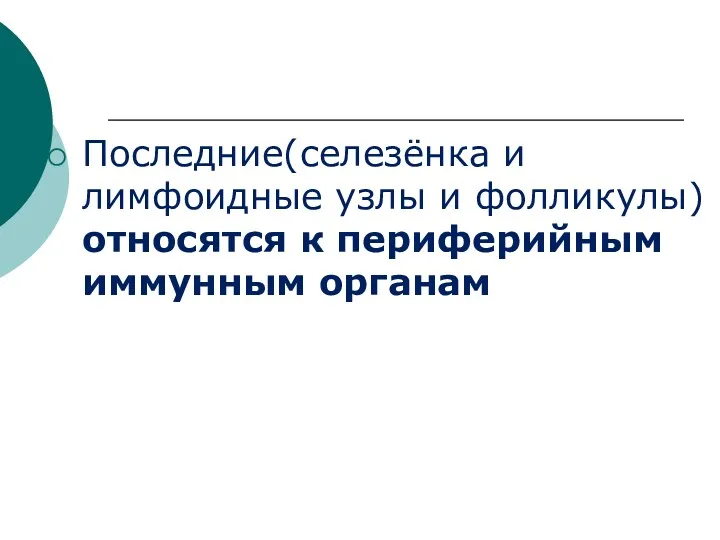 Последние(селезёнка и лимфоидные узлы и фолликулы) относятся к периферийным иммунным органам