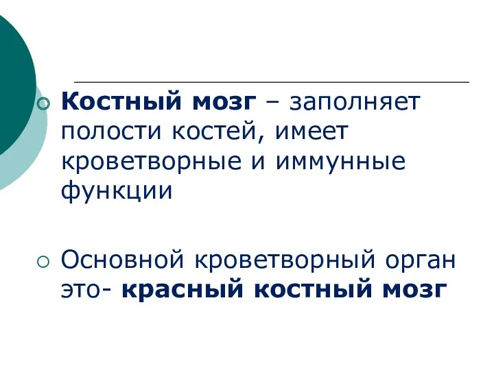 Костный мозг – заполняет полости костей, имеет кроветворные и иммунные функции Основной кроветворный