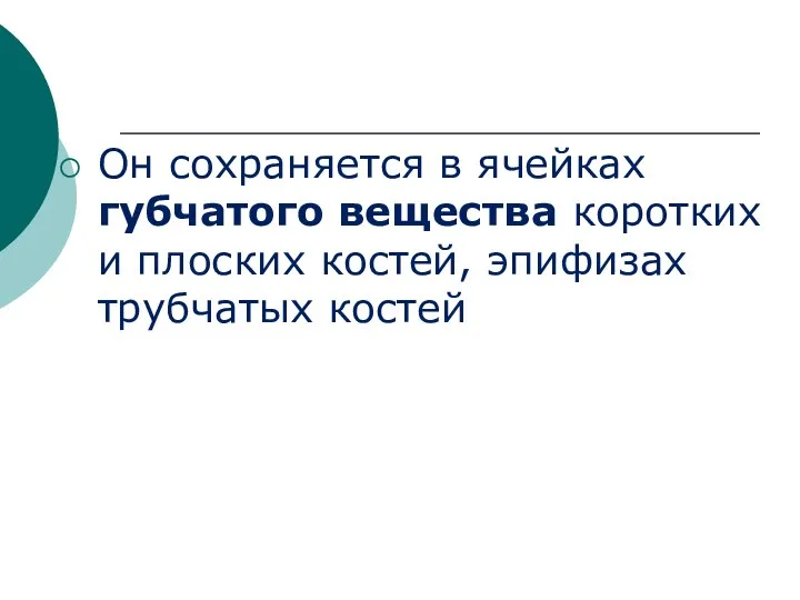 Он сохраняется в ячейках губчатого вещества коротких и плоских костей, эпифизах трубчатых костей