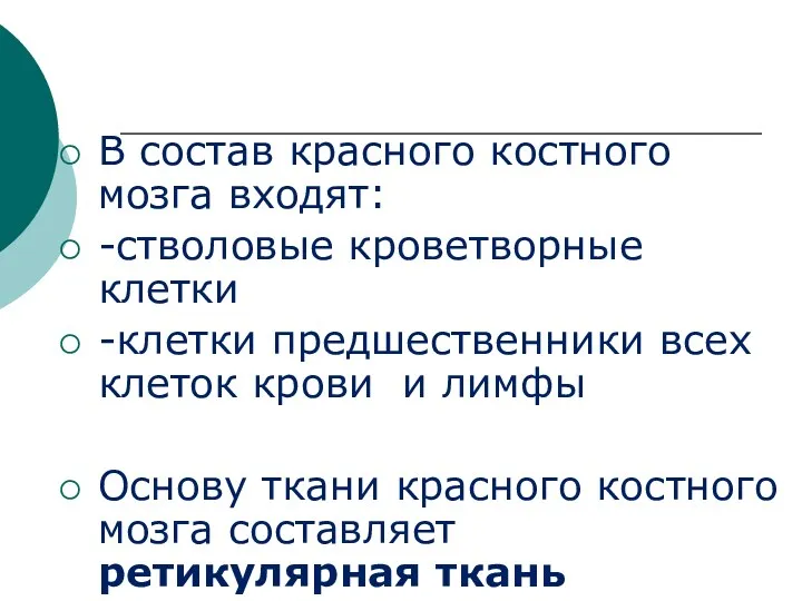 В состав красного костного мозга входят: -стволовые кроветворные клетки -клетки предшественники всех клеток