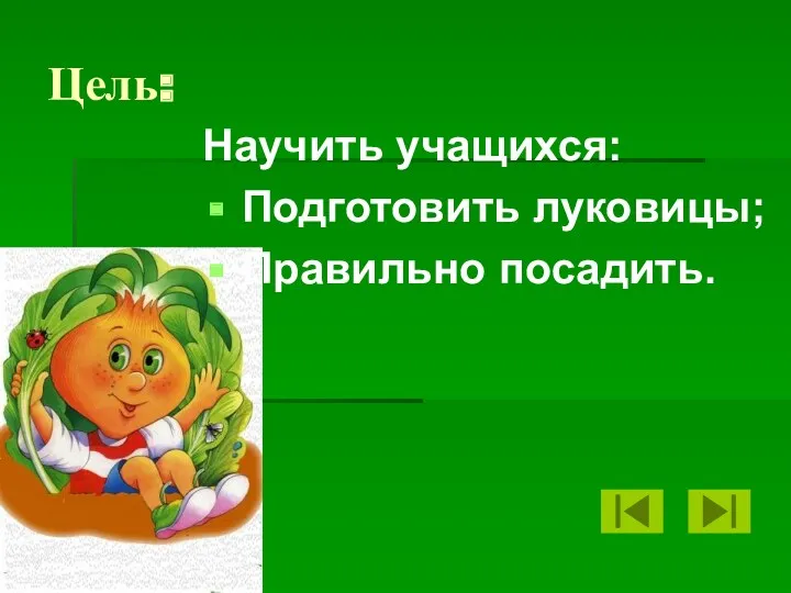 Цель: Научить учащихся: Подготовить луковицы; Правильно посадить.