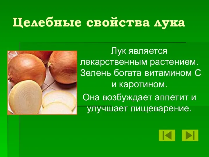 Целебные свойства лука Лук является лекарственным растением. Зелень богата витамином