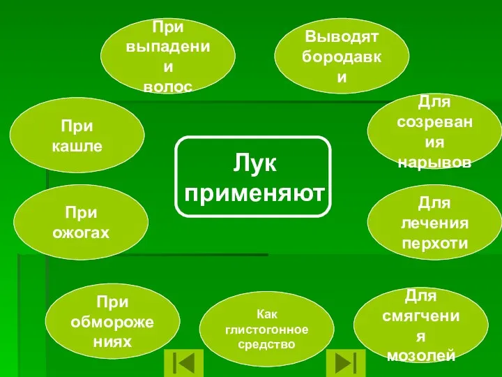 Лук применяют При кашле При ожогах При обморожениях Как глистогонное