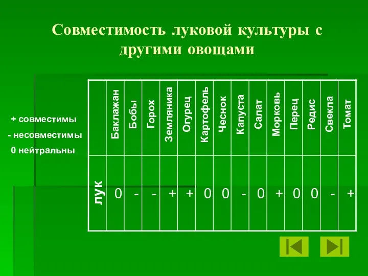 Совместимость луковой культуры с другими овощами + совместимы несовместимы 0 нейтральны