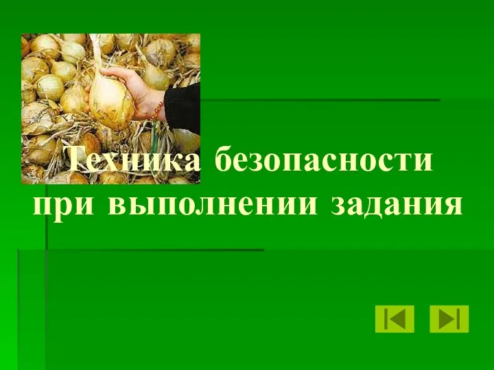 Техника безопасности при выполнении задания