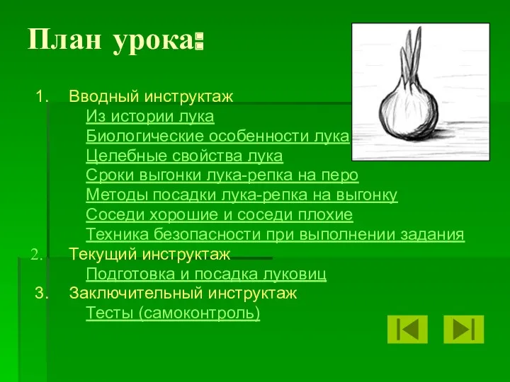 План урока: 1. Вводный инструктаж Из истории лука Биологические особенности