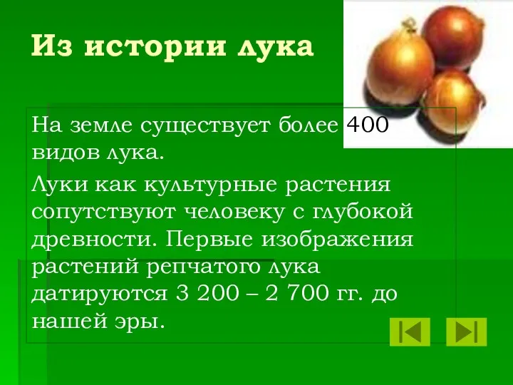 Из истории лука На земле существует более 400 видов лука.