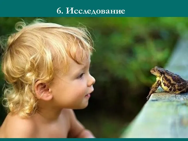 6. Исследование