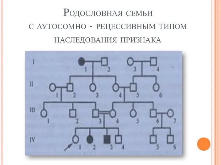 Родословная семьи с аутосомно - рецессивным типом наследования признака