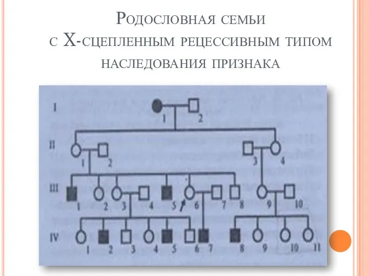 Родословная семьи с X-сцепленным рецессивным типом наследования признака