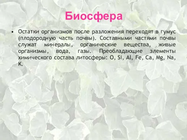 Биосфера Остатки организмов после разложения переходят в гумус (плодородную часть