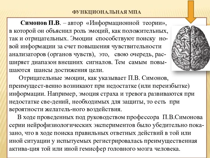 ФУНКЦИОНАЛЬНАЯ МПА Симонов П.В. – автор «Информационной теории», в которой