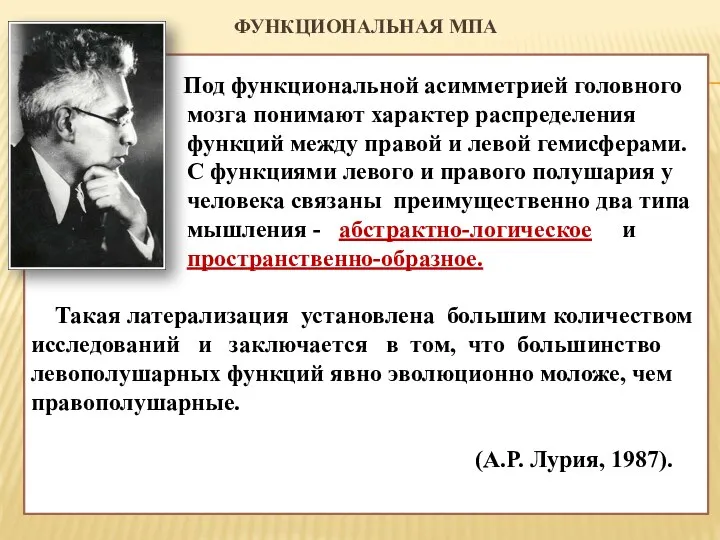 ФУНКЦИОНАЛЬНАЯ МПА Под функциональной асимметрией головного мозга понимают характер распределения