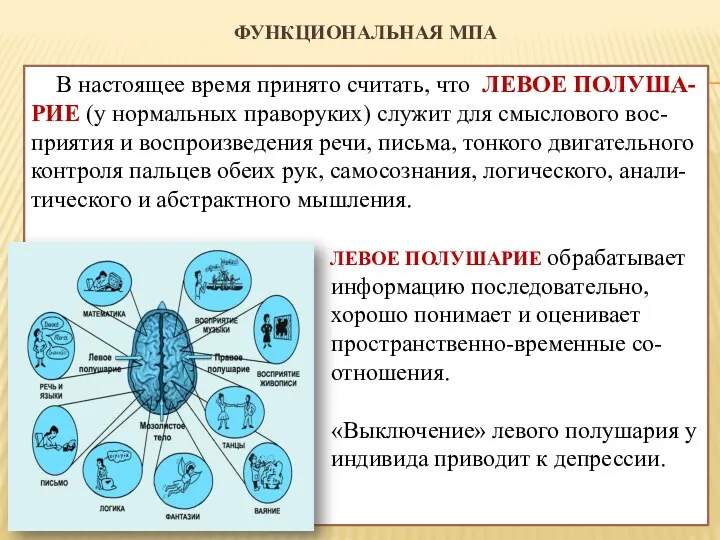 ФУНКЦИОНАЛЬНАЯ МПА В настоящее время принято считать, что ЛЕВОЕ ПОЛУША-РИЕ