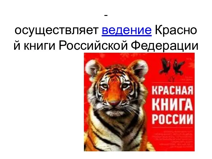 - осуществляет ведение Красной книги Российской Федерации
