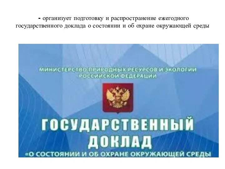 - организует подготовку и распространение ежегодного государственного доклада о состоянии и об охране окружающей среды