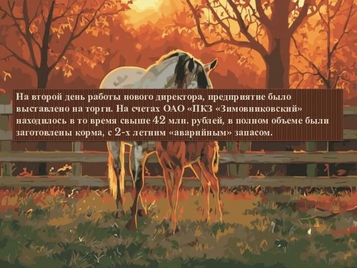 На второй день работы нового директора, предприятие было выставлено на торги. На счетах