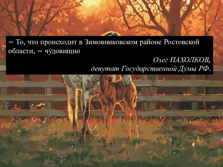 – То, что происходит в Зимовниковском районе Ростовской области, – чудовищно Олег ПАХОЛКОВ,