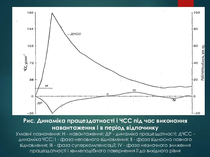 Рис. Динаміка працездатності і ЧСС під час виконання навантаження і