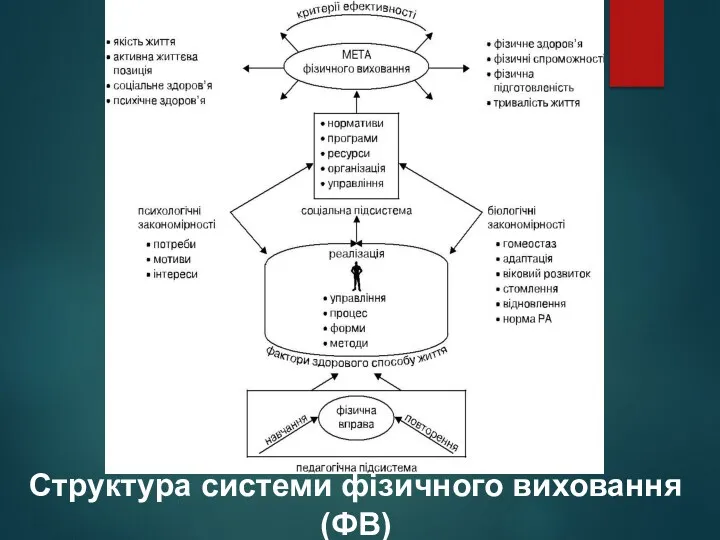 Структура системи фізичного виховання (ФВ)