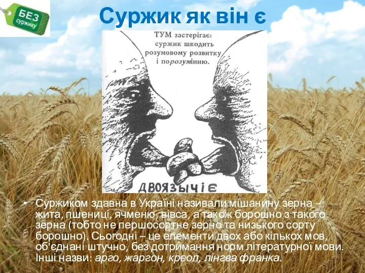 Суржик як він є Суржиком здавна в Україні називали мішанину зерна – жита,