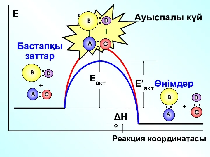 + + ΔHo Eакт Е Реакция координатасы Өнімдер Бастапқы заттар Ауыспалы күй E’акт