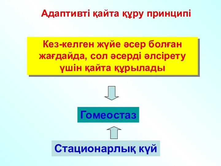 Адаптивті қайта құру принципі Кез-келген жүйе әсер болған жағдайда, сол