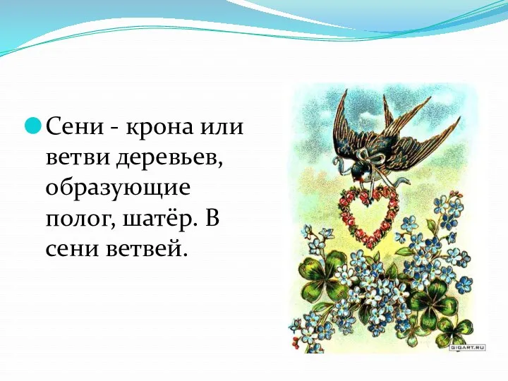 Сени - крона или ветви деревьев, образующие полог, шатёр. В сени ветвей.