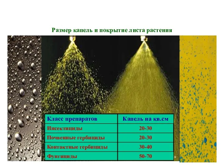 Размер капель и покрытие листа растения