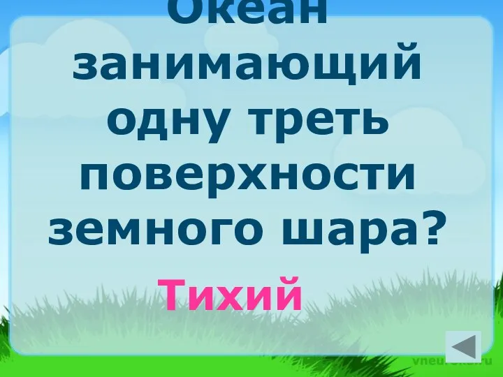 Океан занимающий одну треть поверхности земного шара? Тихий