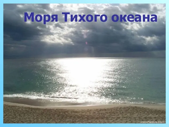 Моря Тихого океана