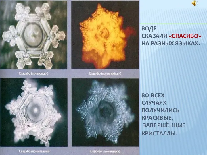 ВОДЕ СКАЗАЛИ «СПАСИБО» НА РАЗНЫХ ЯЗЫКАХ. ВО ВСЕХ СЛУЧАЯХ ПОЛУЧИЛИСЬ КРАСИВЫЕ, ЗАВЕРШЁННЫЕ КРИСТАЛЛЫ.