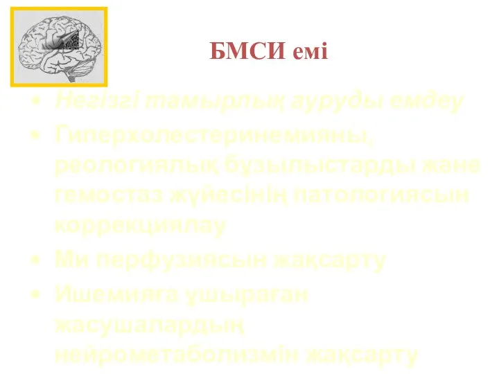 БМСИ емі Негізгі тамырлық ауруды емдеу Гиперхолестеринемияны, реологиялық бұзылыстарды және