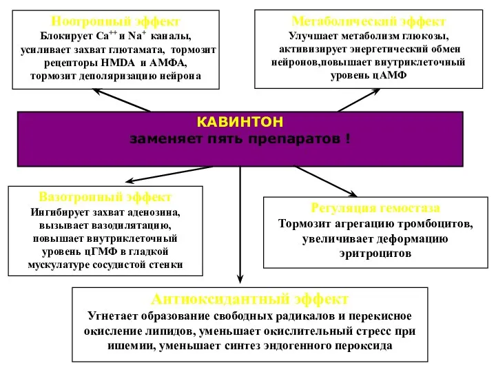 КАВИНТОН заменяет пять препаратов ! Вазотропный эффект Ингибирует захват аденозина,