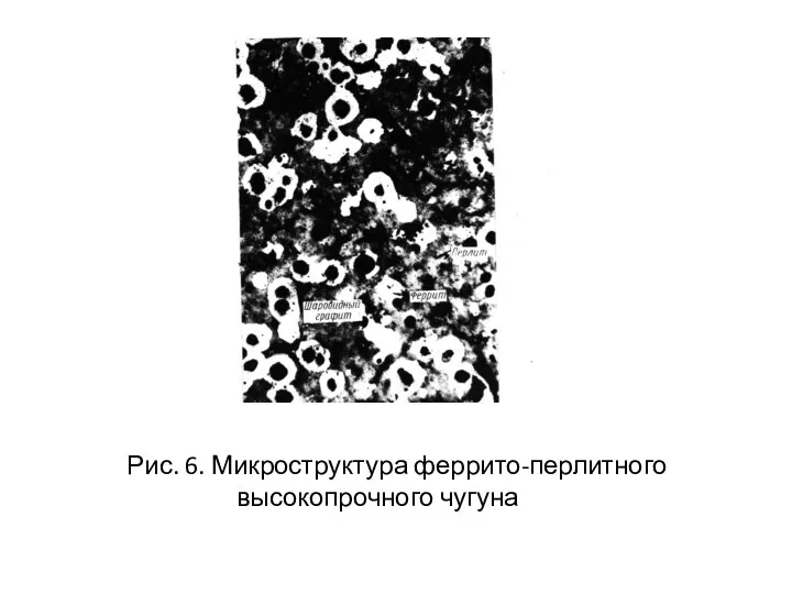 Рис. 6. Микроструктура феррито-перлитного высокопрочного чугуна