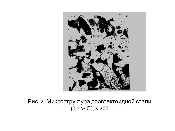 Рис. 2. Микроструктура доэвтектоидной стали (0,2 % С), × 200