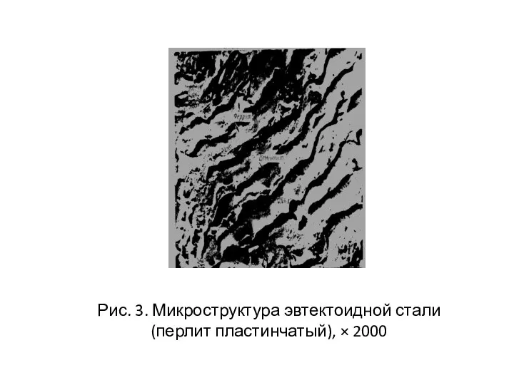 Рис. 3. Микроструктура эвтектоидной стали (перлит пластинчатый), × 2000