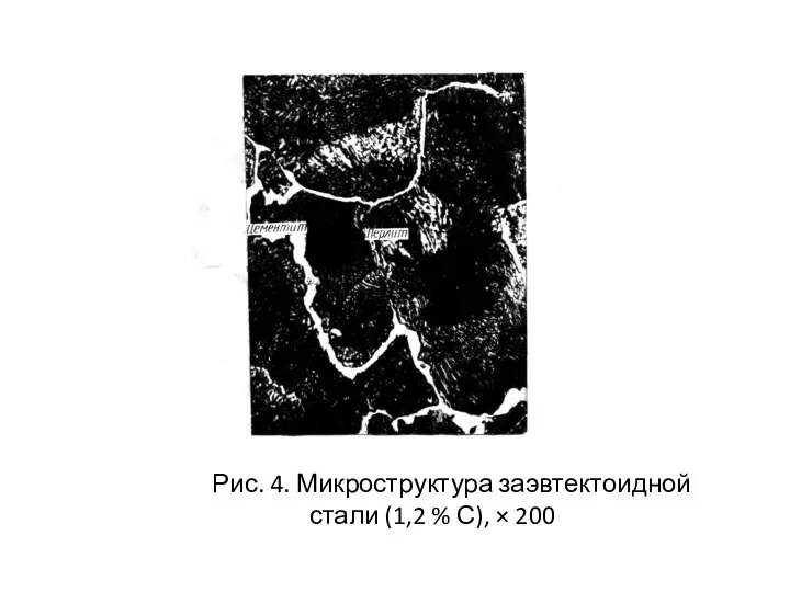 Рис. 4. Микроструктура заэвтектоидной стали (1,2 % С), × 200