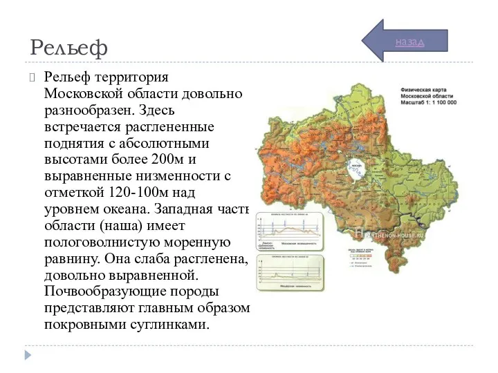 Рельеф Рельеф территория Московской области довольно разнообразен. Здесь встречается расглененные