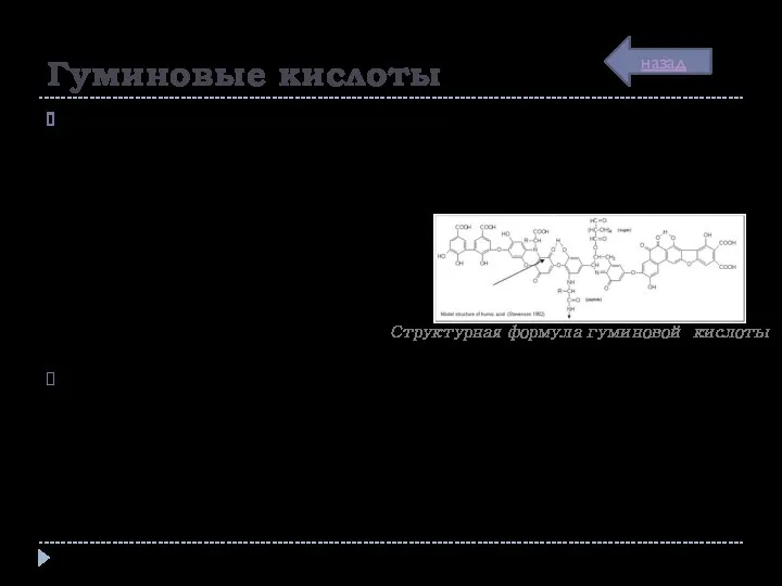 Гуминовые кислоты Гуминовые кислоты – группа темноокрашенных гумусовых кислот, растворимых
