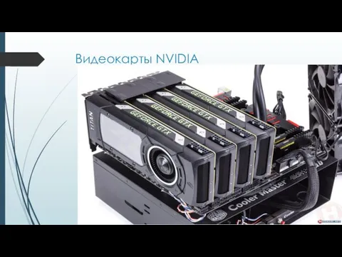 Видеокарты NVIDIA