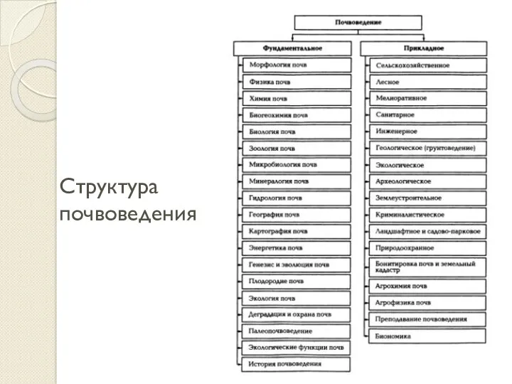 Структура почвоведения