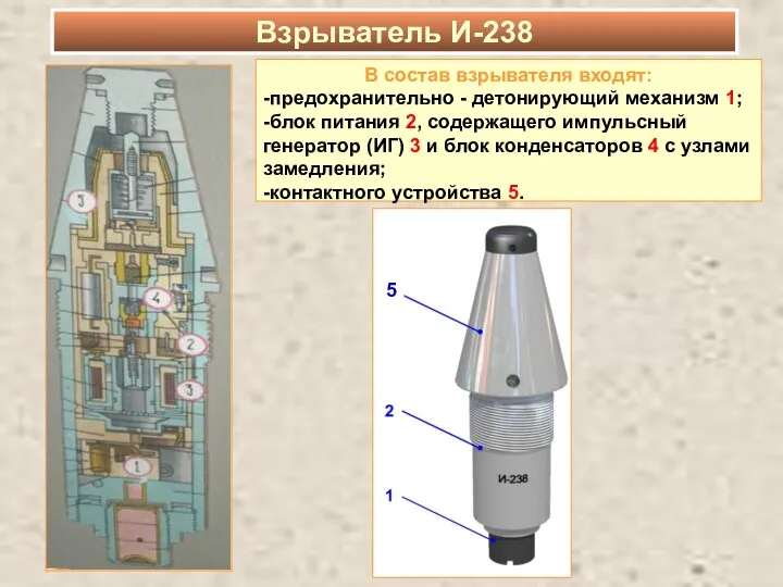 Взрыватель И-238 В состав взрывателя входят: -предохранительно - детонирующий механизм