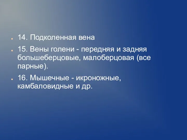 14. Подколенная вена 15. Вены голени - передняя и задняя