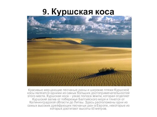 9. Куршская коса Красивые мерцающие песчаные дюны и широкие пляжи